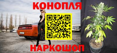 мяу мяу мука Жуковский
